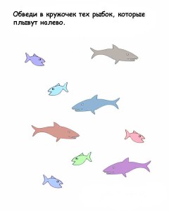 14563407_10207006394743816_3650610404351902241_n