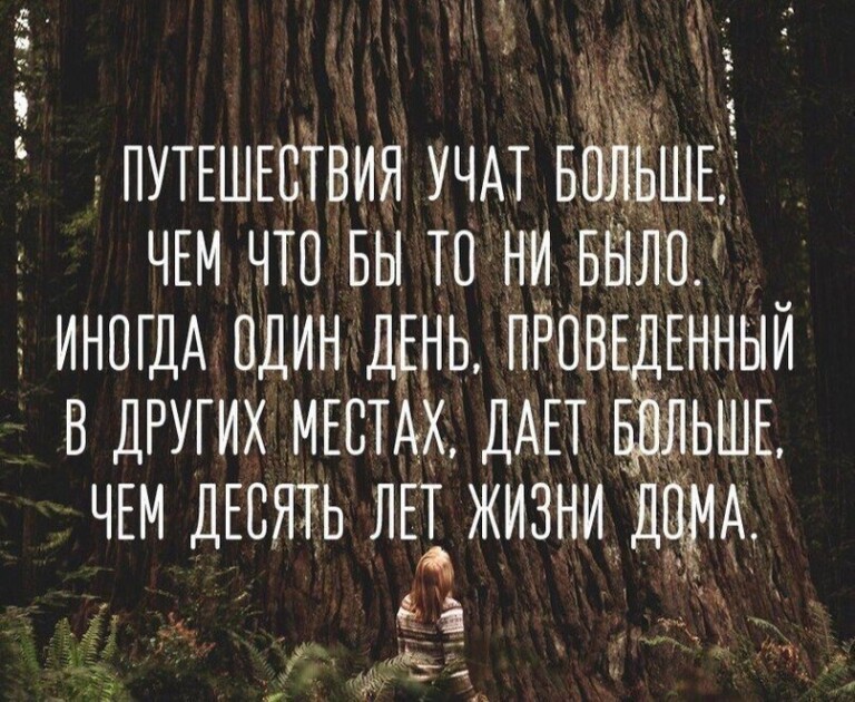 Цитаты про путешествия. Афоризмы про путешествия. Высказывания о путешествиях. Высказывания про путешествия красивые.